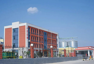 釀造工廠設計與生產技術支持 優化流程與提升效益