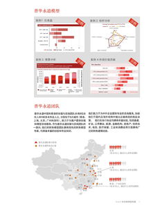 聚焦數(shù)據(jù)洞察 美國咨詢機構(gòu)與199it網(wǎng)站的設(shè)計及技術(shù)咨詢實踐